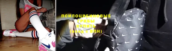 круглые Абаза